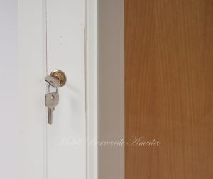 Fuciliera in legno massello stile classico con 1 anta con vetro e finitura colore bianco anticato